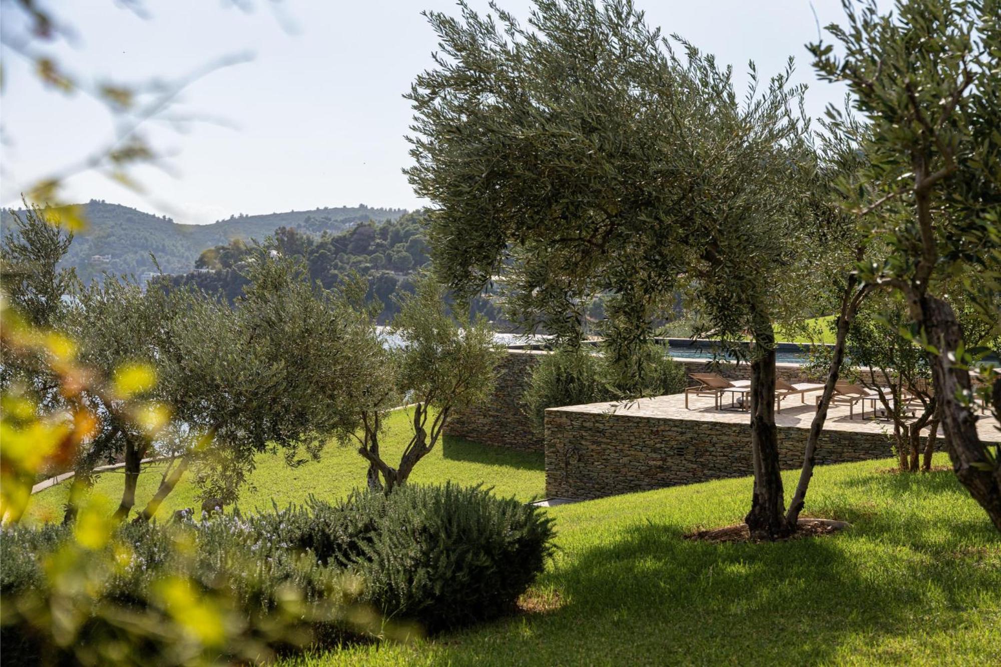 Pelagoon Skiathos Achladies  Ruang foto